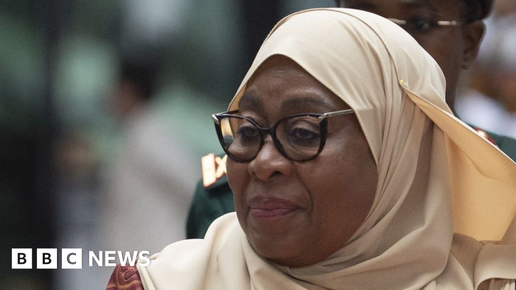 Tanzania's news sites banned over animation deemed critical of Samia Suluhu Hassan