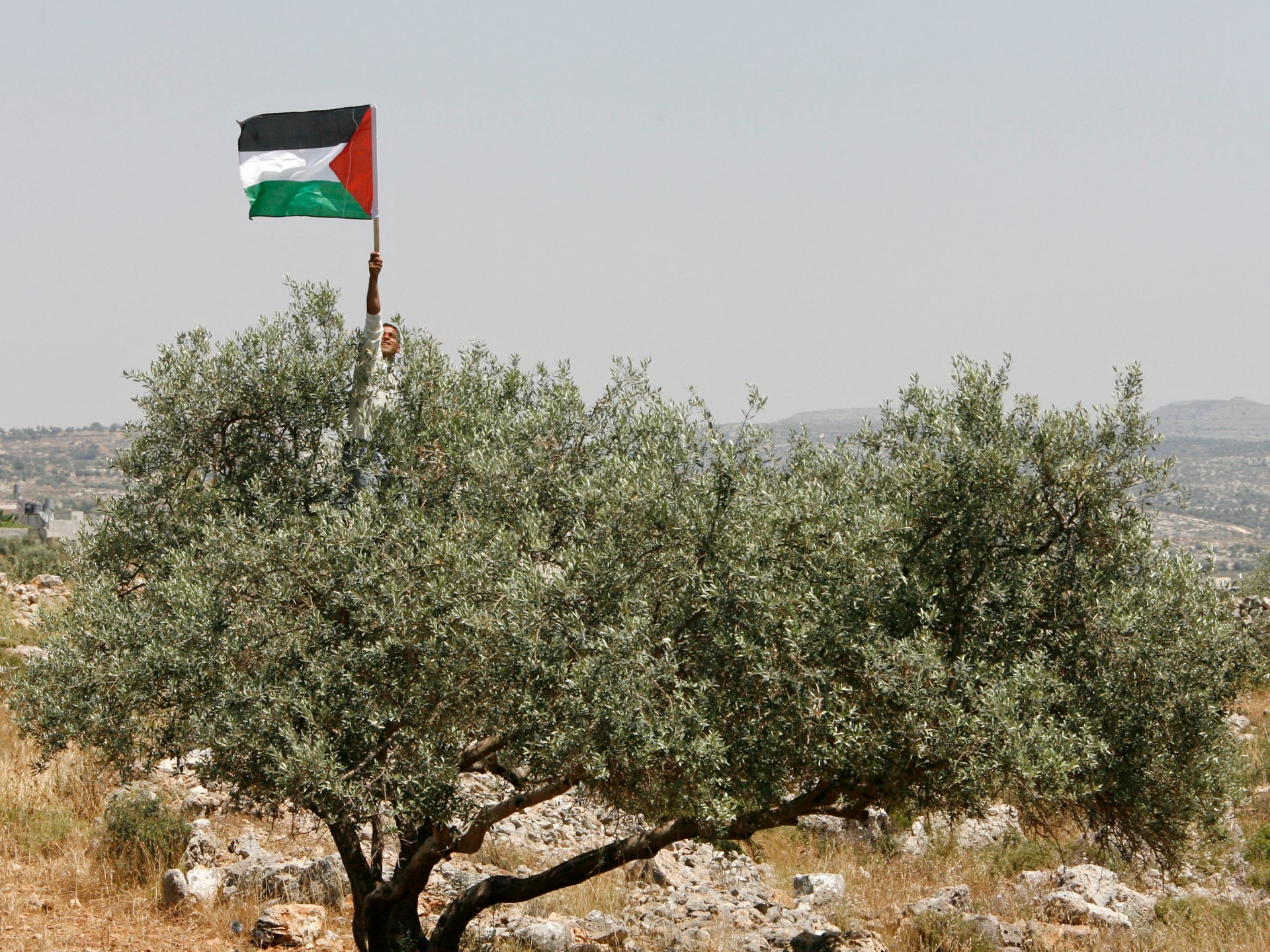 Why Palestinians won’t leave their land | Opinions