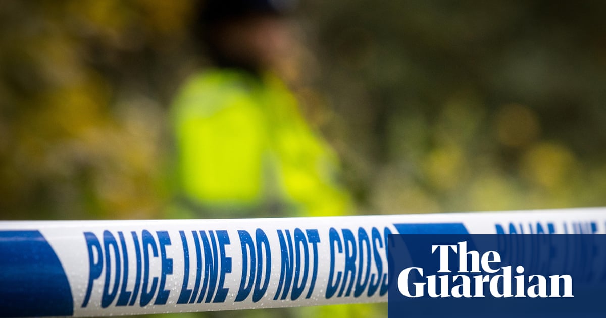 Woman dies in road collision while walking dogs in Highlands | Scotland