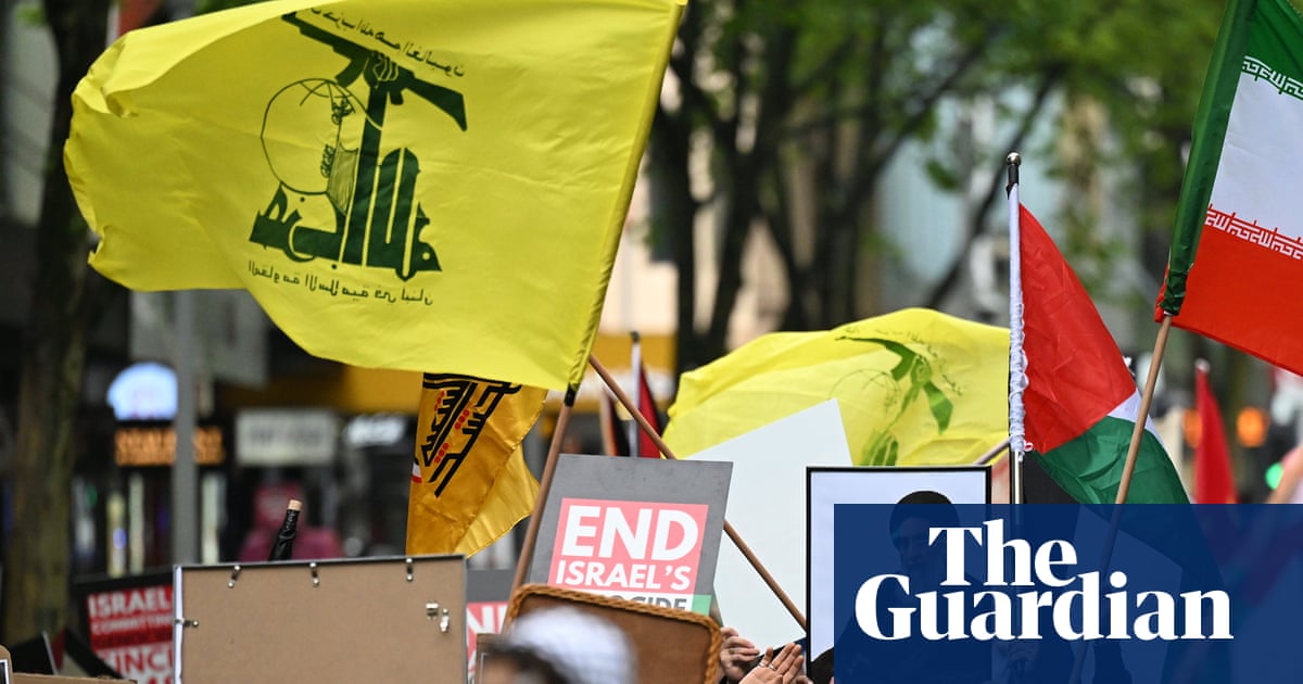 Woman, 19, arrested for allegedly displaying Hezbollah flag at Sydney rally | New South Wales