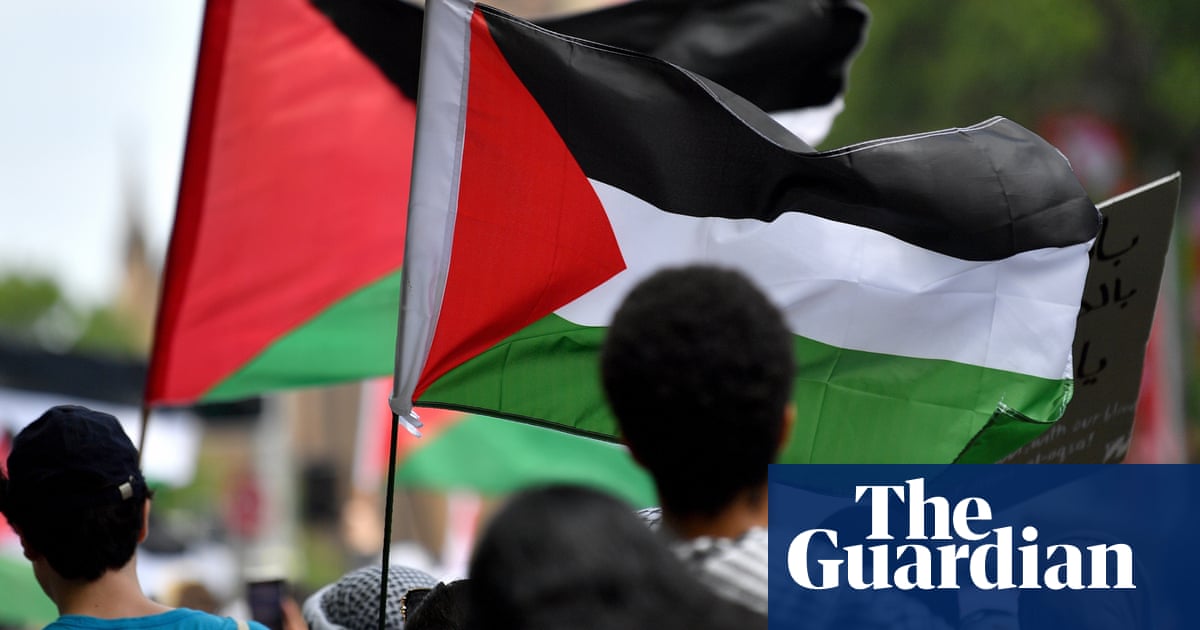 NSW police cite crowd size and hazards including ‘planter boxes’ in push to ban pro-Palestine rallies | New South Wales