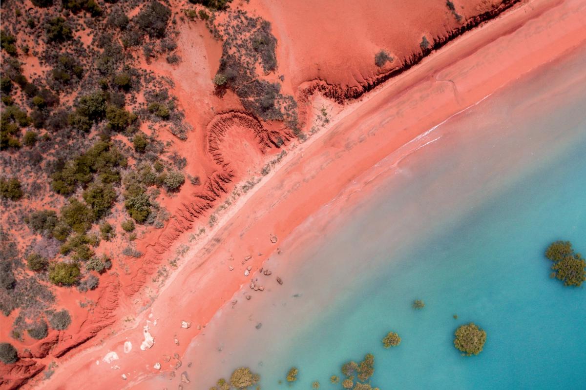 Take a mangrove foraging tour with Broome's Aboriginal custodians in Australia