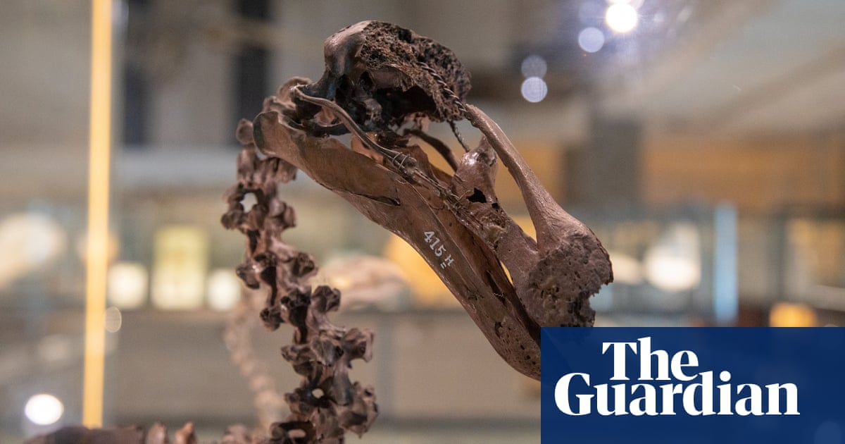 AI gives voice to dead animals in Cambridge exhibition | Science