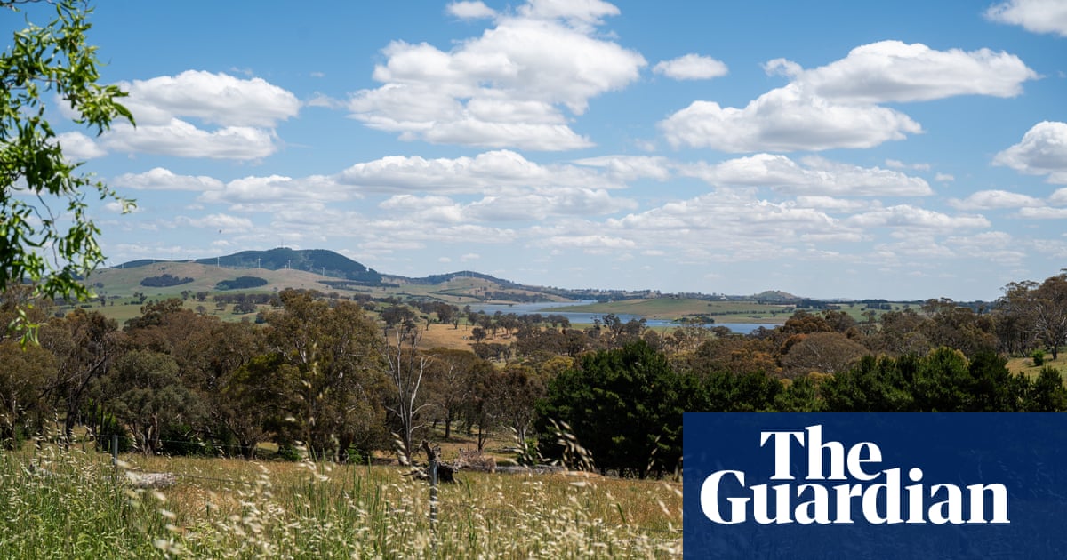 Tanya Plibersek defends Aboriginal heritage order blocking ‘irreversible damage’ of goldmine tailings dam | Indigenous Australians