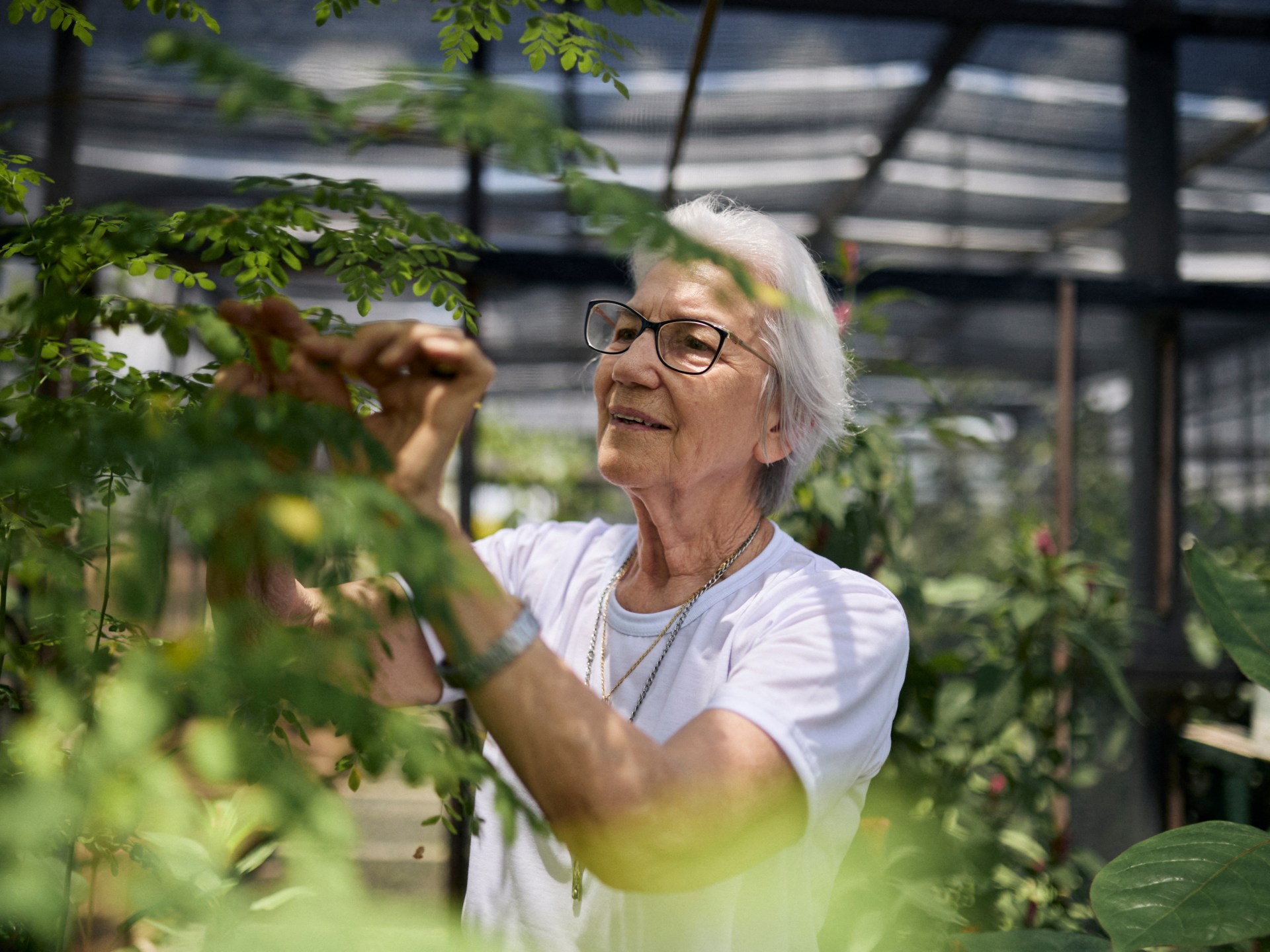 Brazilian nun awarded UN refugee prize | Human Rights News