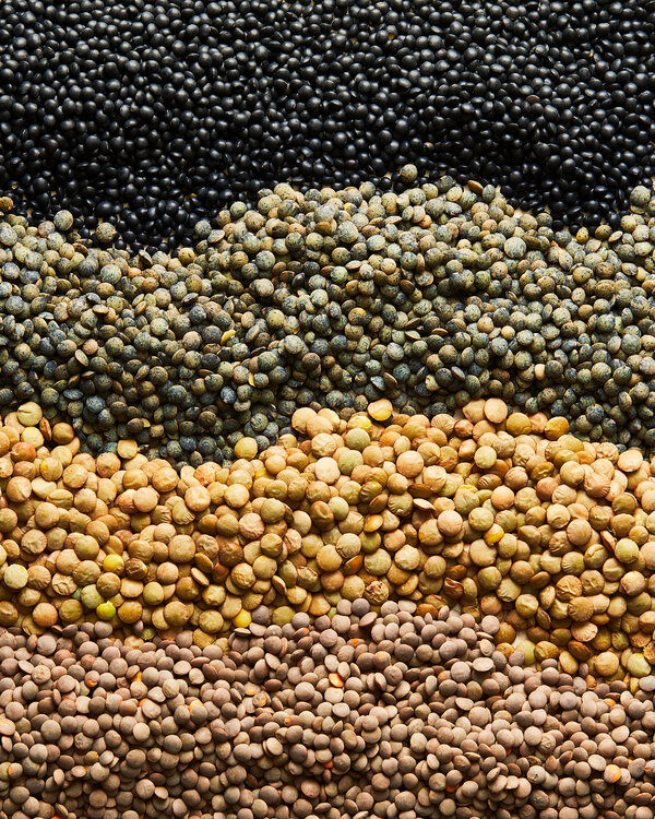 A close-up image of a number of split red lentils.