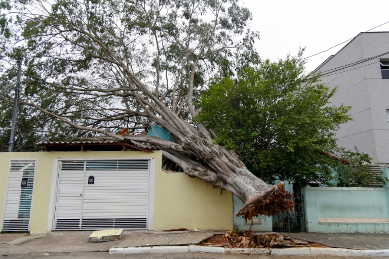 Brazil has in recent months experienced its worst drought since records began which, according to experts, is linked to climate change (Miguel SCHINCARIOL)