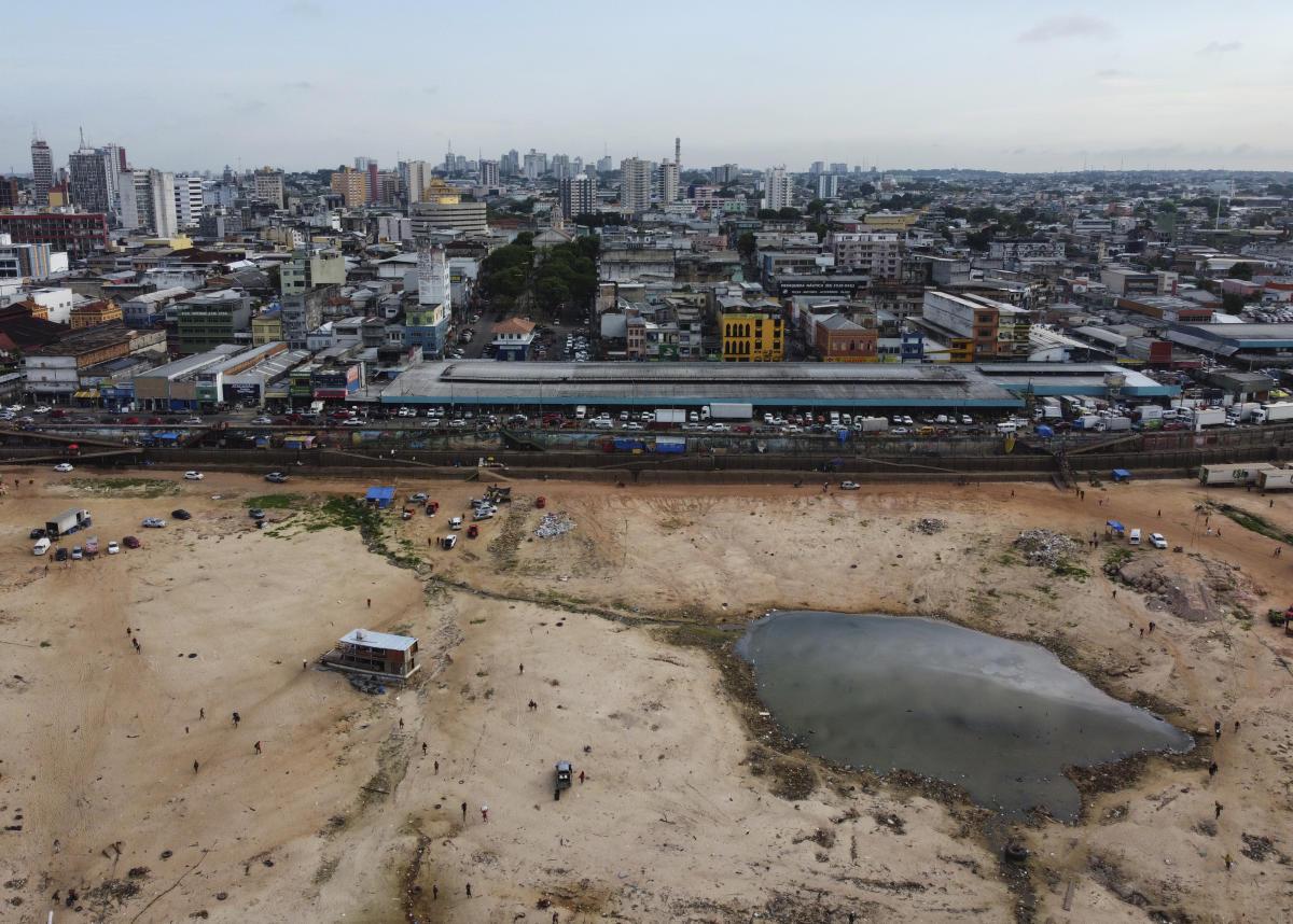 Drought has dried a major Amazon River tributary to its lowest level in over 122 years