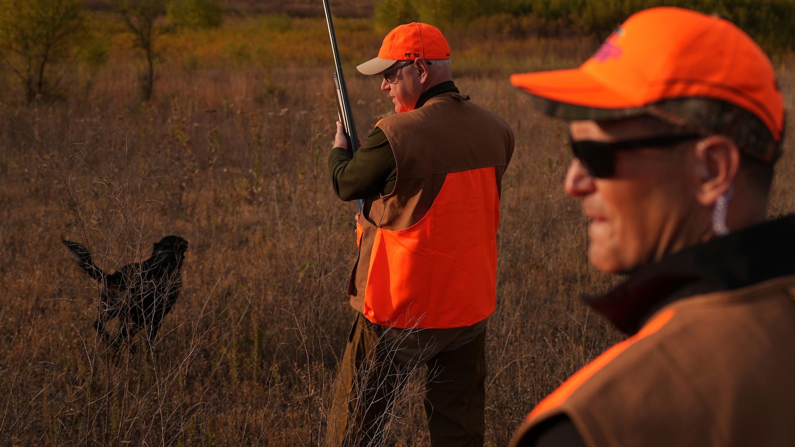 Walz tramps through tall grass on pheasant hunting season opener but bags no birds