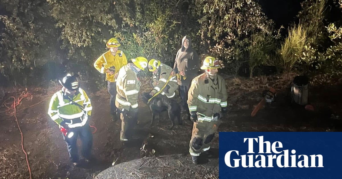 Dog who fell 50ft down abandoned mine shaft rescued by California firefighters | California