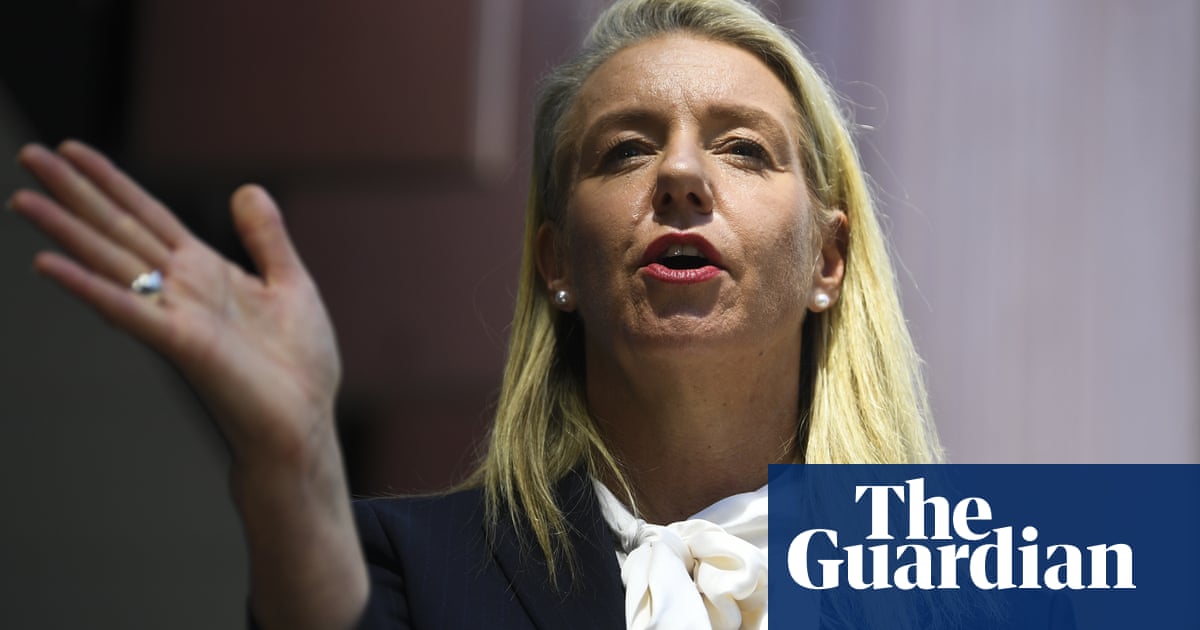 Bridget McKenzie to update register after failing to declare more than a dozen flight upgrades | Australian politics