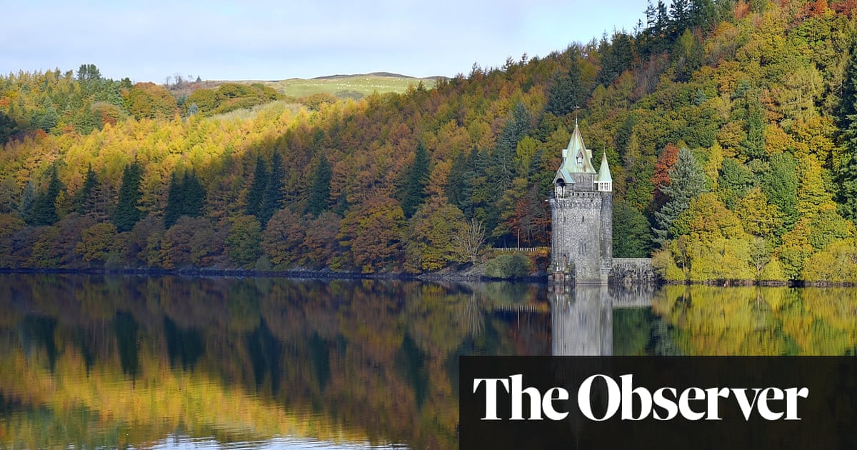 ‘It’s a play area for townies’: visitors and residents row over plan for new national park in Wales | National parks