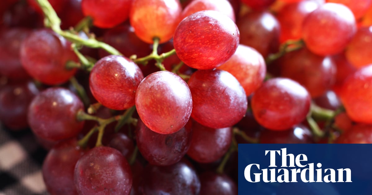 UK trial to assess if red grape chemical can prevent bowel cancer | Cancer research