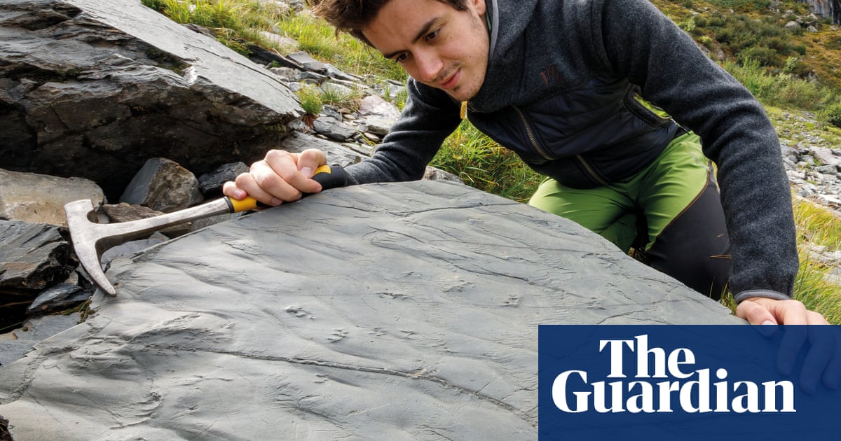 Hiker discovers first trace of entire prehistoric ecosystem in Italian Alps | Italy