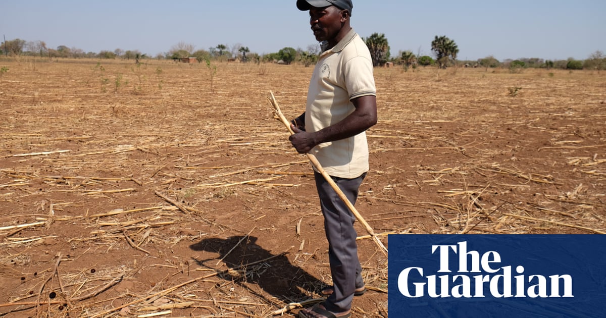 ‘I have lost everything’: southern Africa battles hunger amid historic drought | Zambia