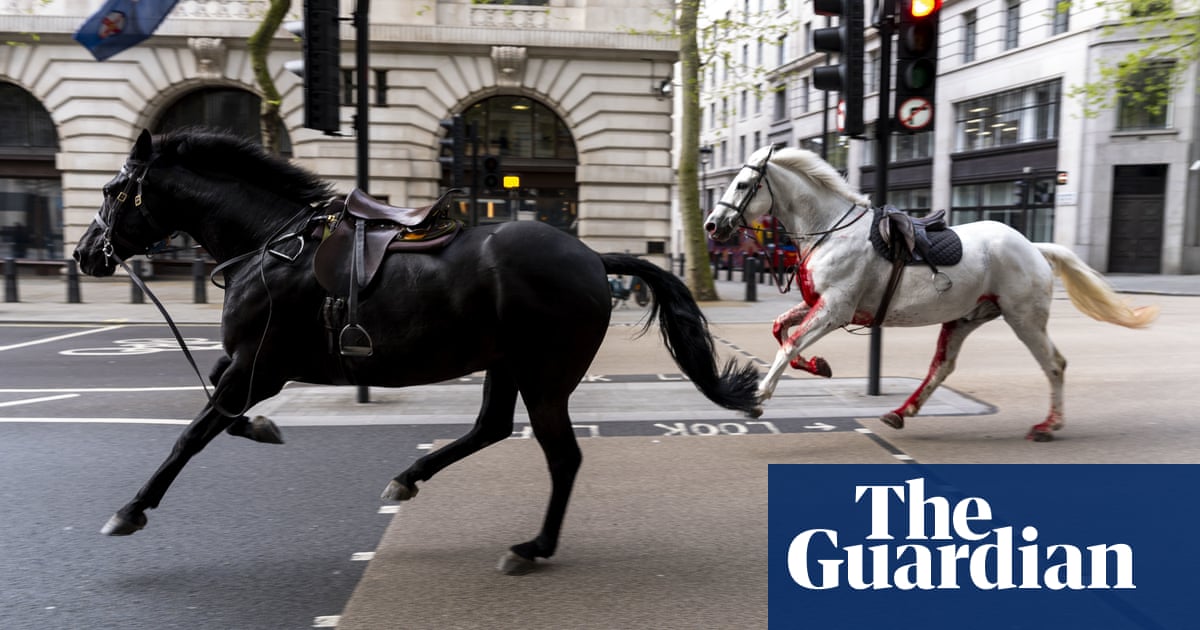 White horse that bolted through London traffic returns to royal duties | UK news