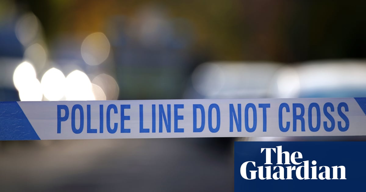 Murder investigation launched after body found in car boot in east London | UK news