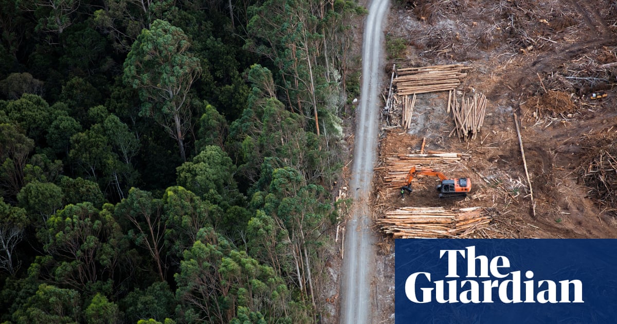 Greens drop climate trigger demand in attempt to restart Nature Positive talks with Labor | Australian politics