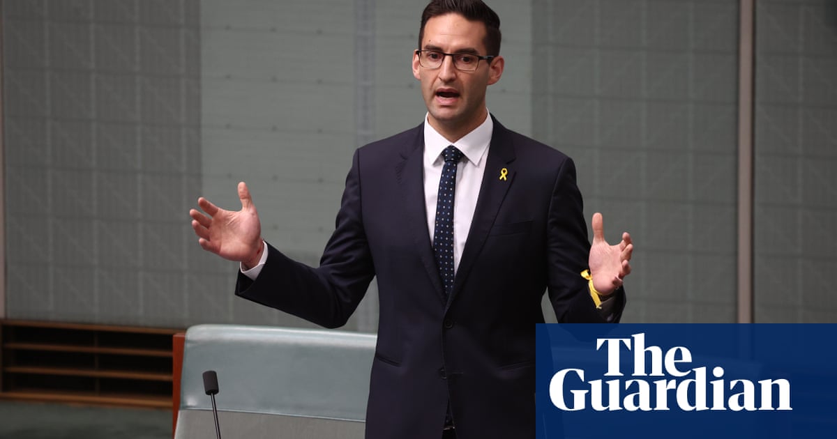 Labor bill could lead to lengthy detention of migrants before deportation to countries paid to take them, committee warns | Australian immigration and asylum