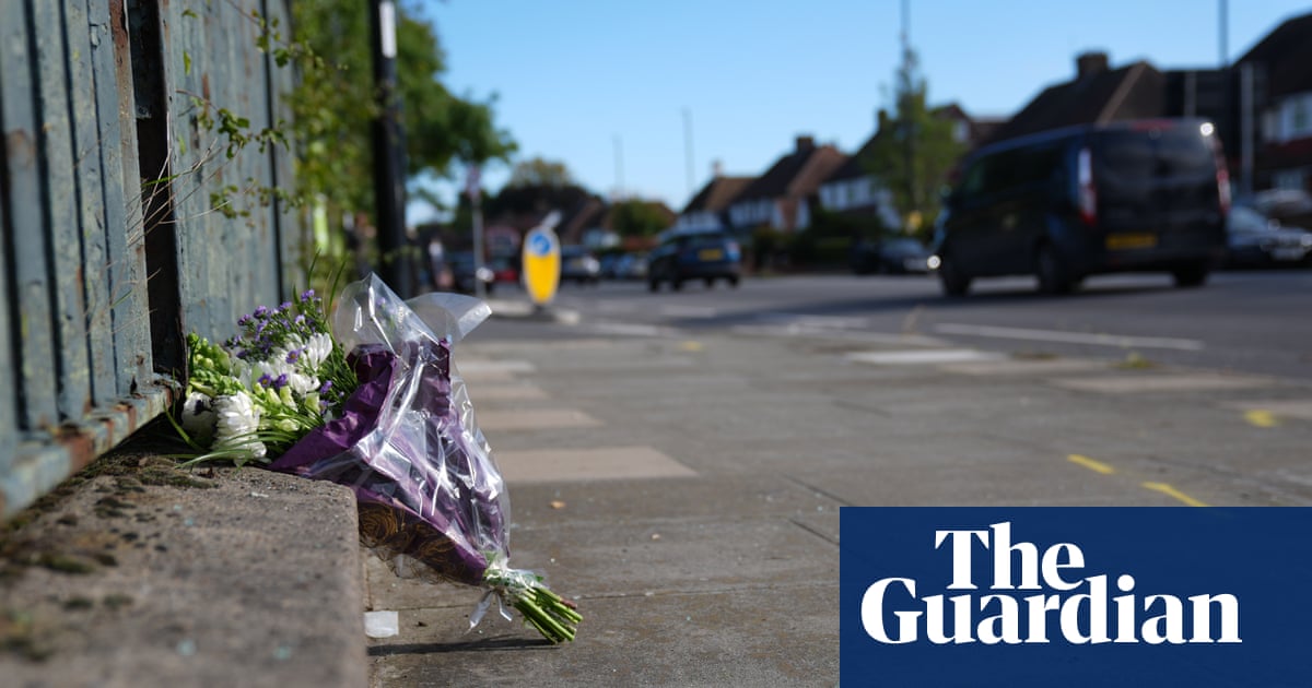 Met officers under criminal investigation over road death of pregnant woman | Metropolitan police