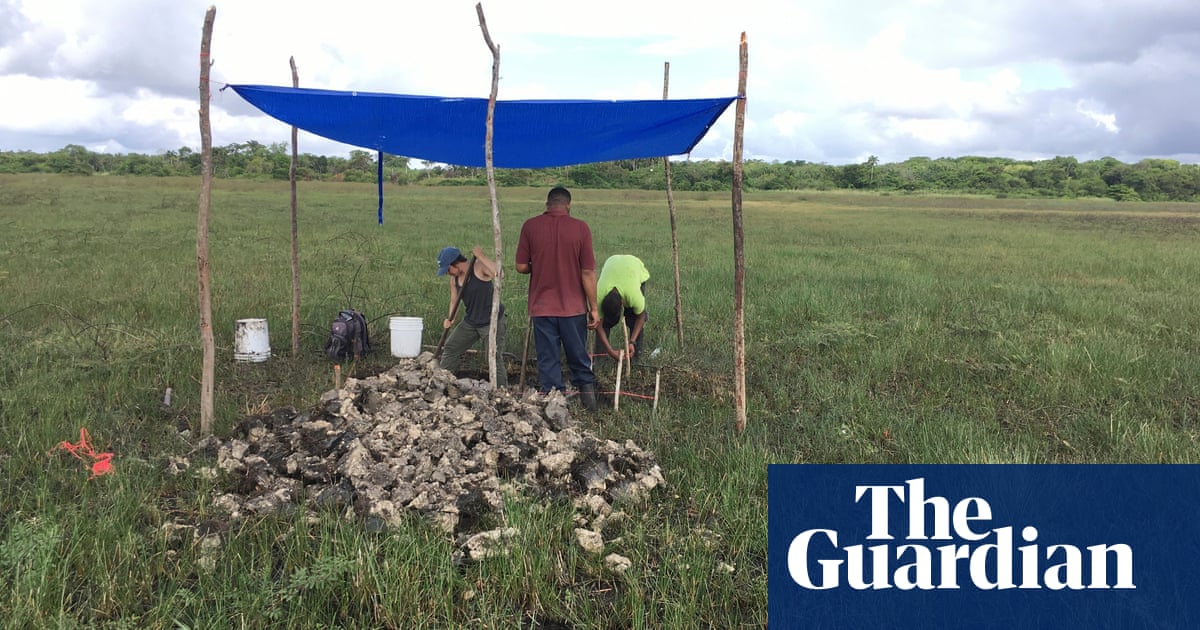 4,000-year-old canals used for fishing by Maya predecessors discovered in Belize | Archaeology