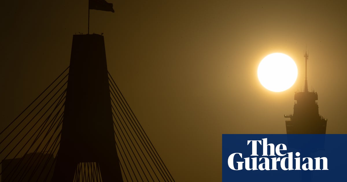 Blackout risk warning as scorching temperatures forecast for parts of NSW | Australia weather