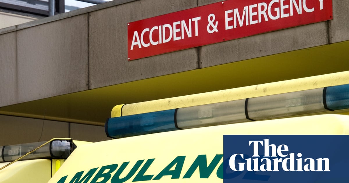 One in seven A&E patients are repeat visitors with unmet needs, study finds | Hospitals