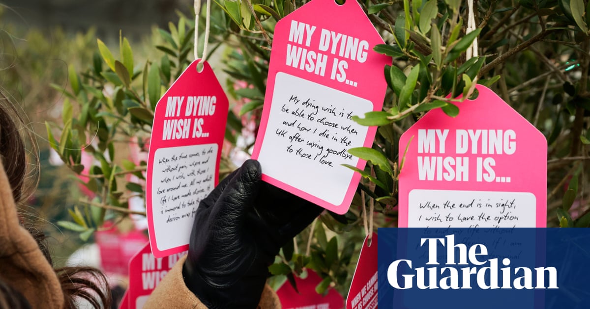 About 20 terminally ill people in UK die in unrelieved pain each day, research finds | Assisted dying