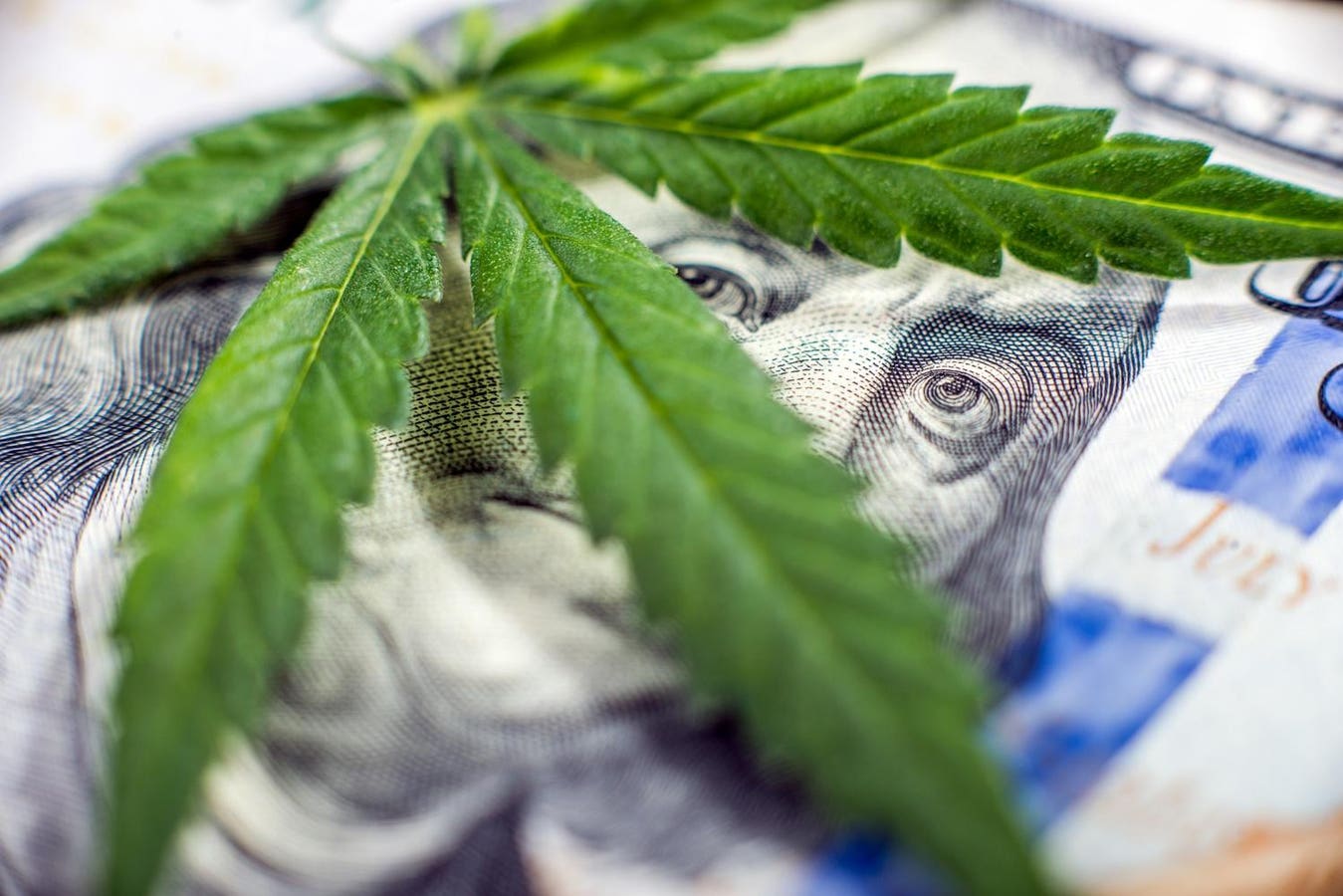 Cannabis Execs Eye Opportunities At MJBizCon