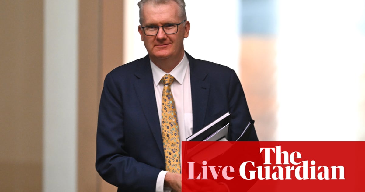 Australia politics live: Labor lines up trio of immigration bills dubbed ‘cruelty package’ by activists; Assange supporters push for pardon | Australian politics