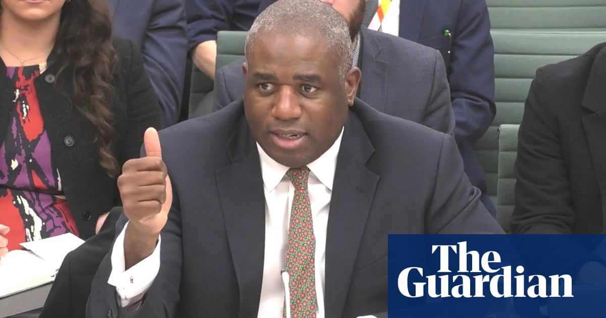 David Lammy to appoint envoy to support Britons detained abroad | Foreign policy