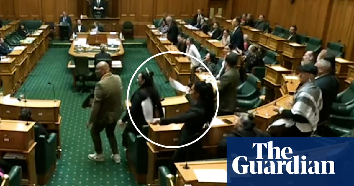 Insults and a haka in New Zealand parliament as MPs debate Māori rights bill | New Zealand