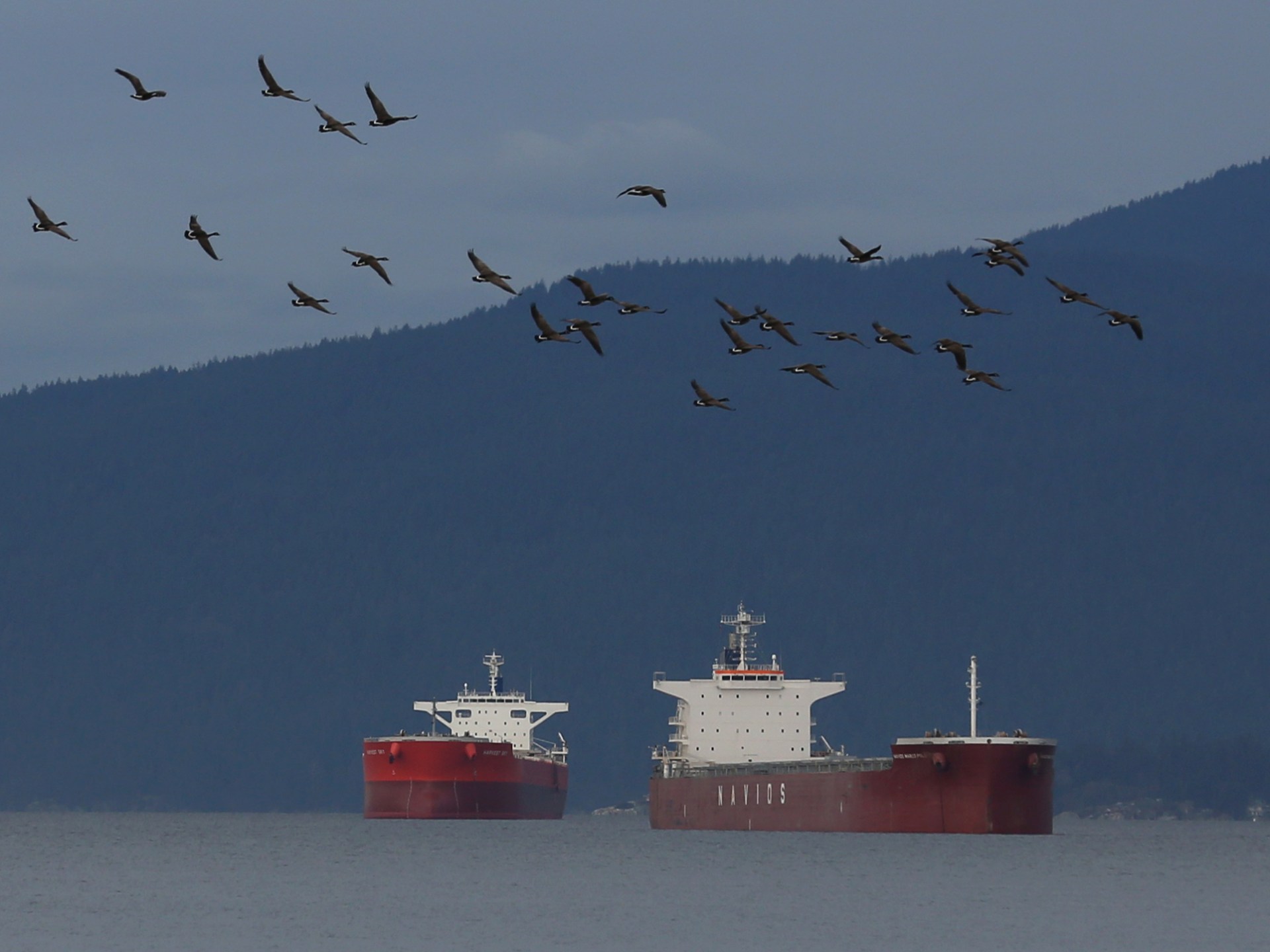 Canada’s largest port could see lockout of more than 700 workers | Al Jazeera News