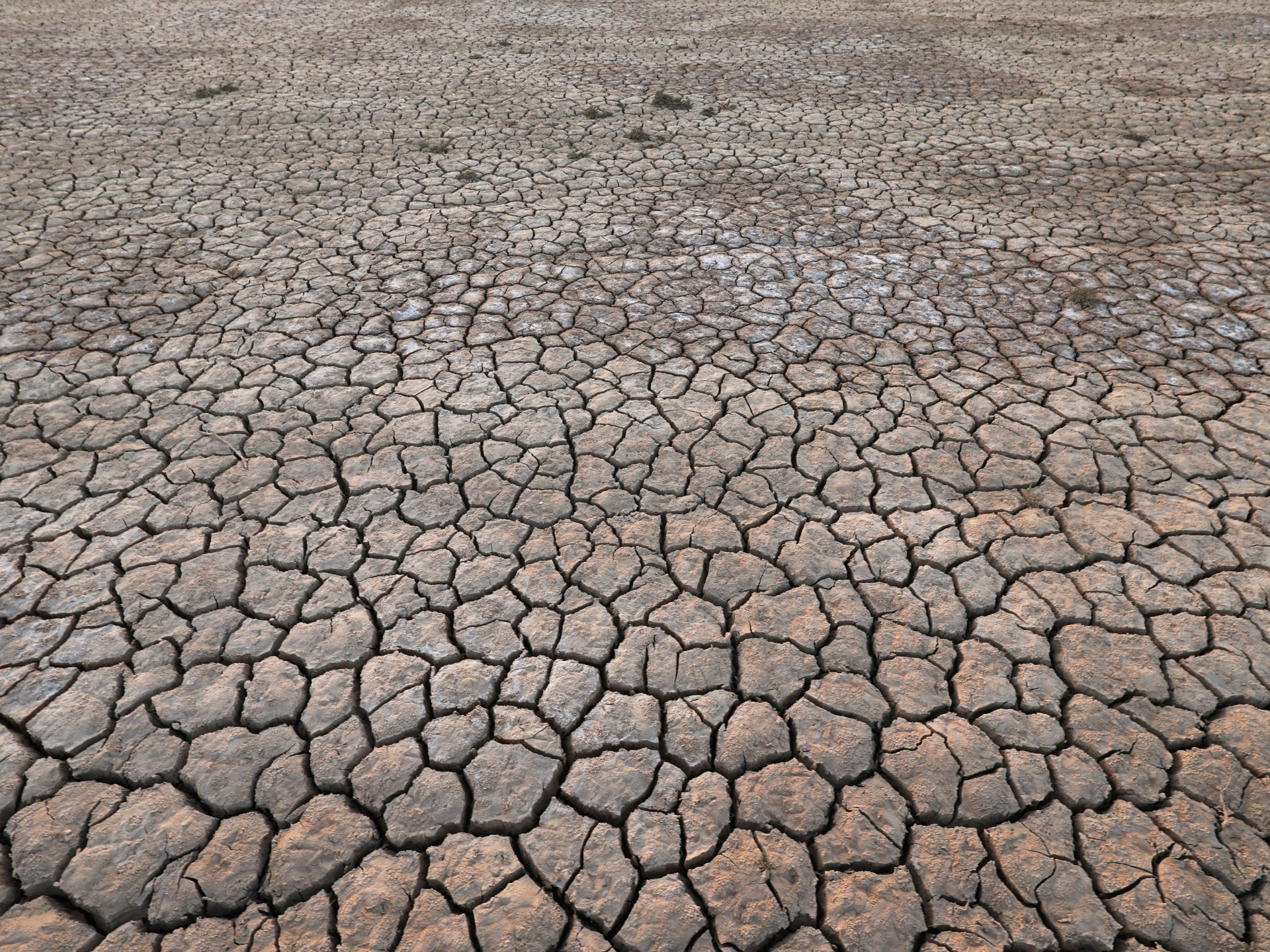 Year 2024 to be the first to breach 1.5C warming limit: EU climate agency | Climate News