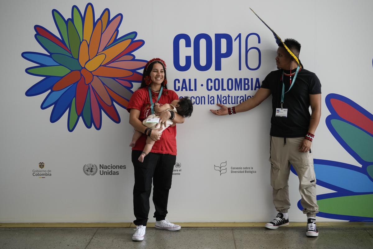 Delegates agree to establish Indigenous subsidiary body at COP16 biodiversity summit in Colombia