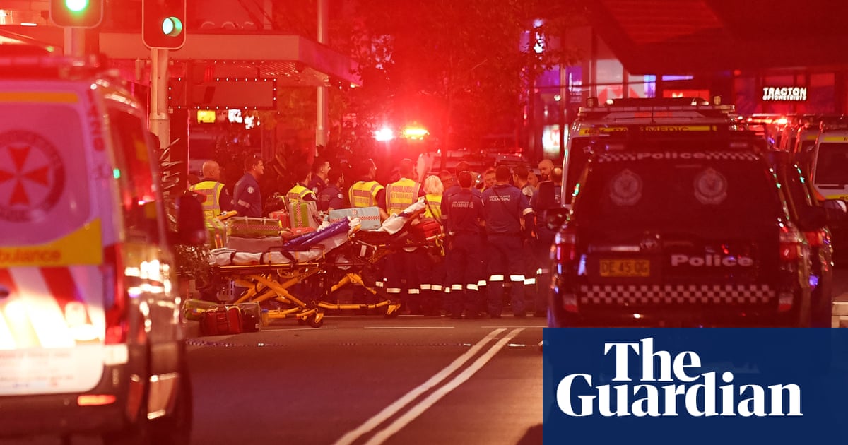 Bondi Junction killer’s mental health deteriorated after stopping medication, hearing told | Bondi Junction stabbings