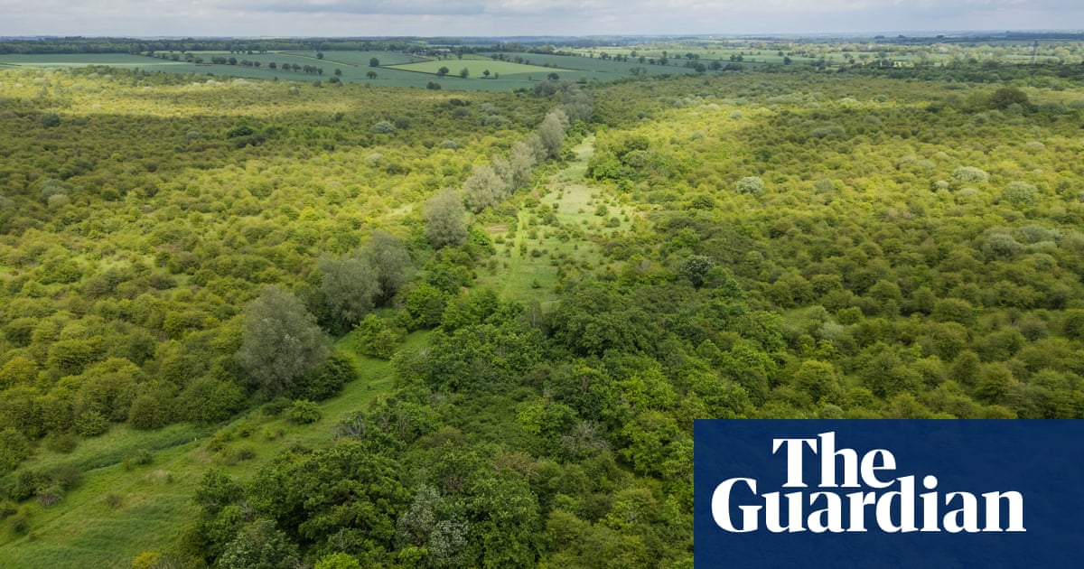 ‘A special place’: Guardian readers’ generosity helps to save rewilded farm | Rewilding