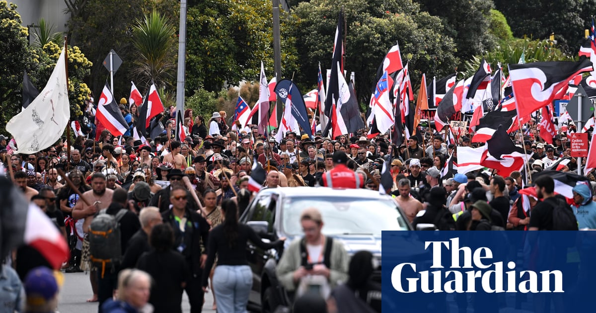 Tens of thousands march on NZ parliament in protest against Māori treaty bill | New Zealand