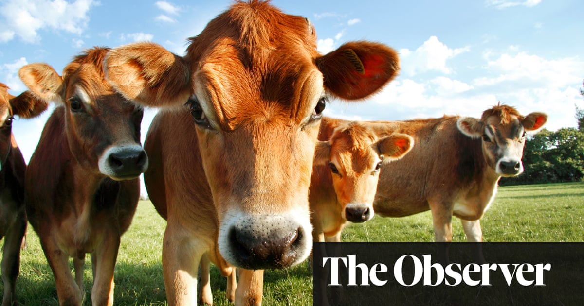 Scientists dismayed as UK ministers clear way for gene editing of crops - but not animals | Gene editing