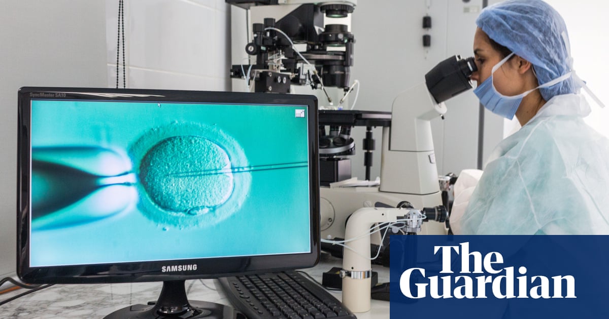 Number of single UK women having fertility treatment trebles, report says | IVF