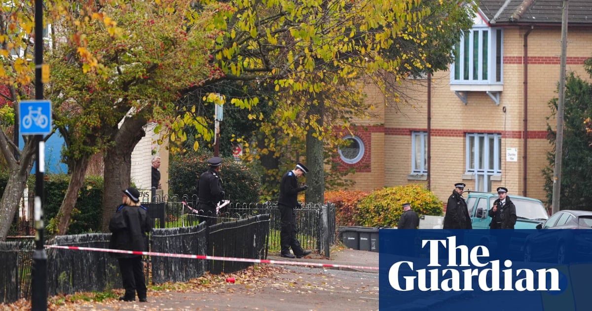 Two men killed in separate shooting and stabbing incidents in south London | UK news