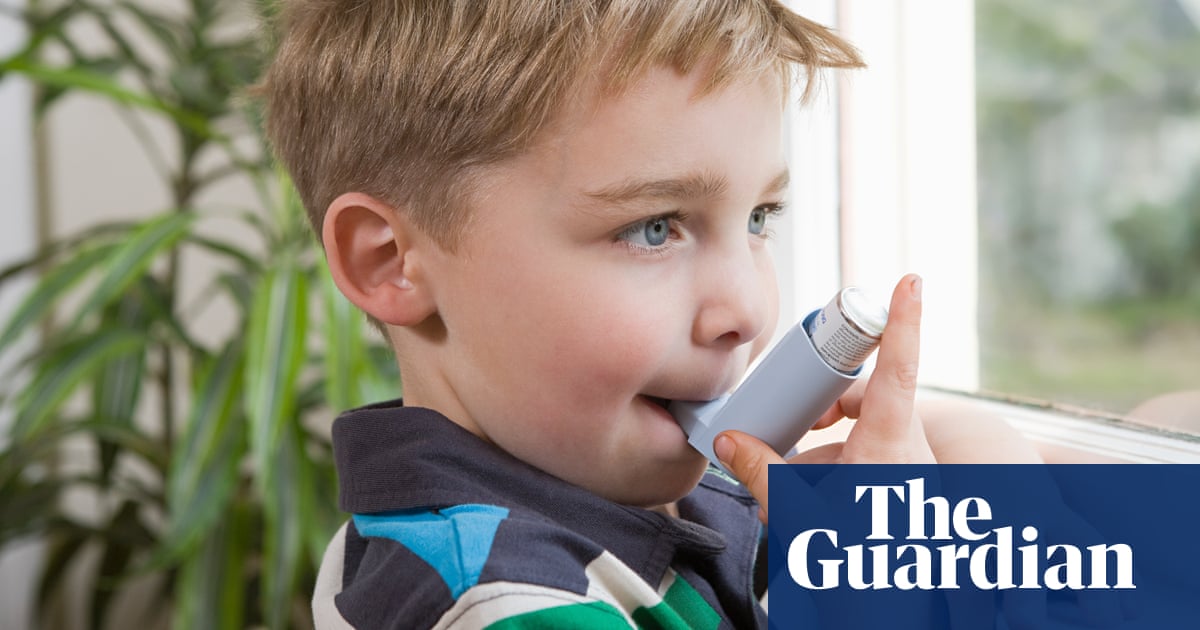 Asthma linked to memory issues in children, research suggests | Asthma