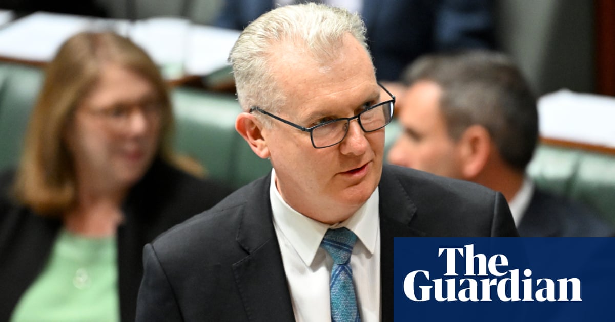 Burke says government can enforce ankle bracelets and curfews for former immigration detainees despite high court ruling | Australian politics