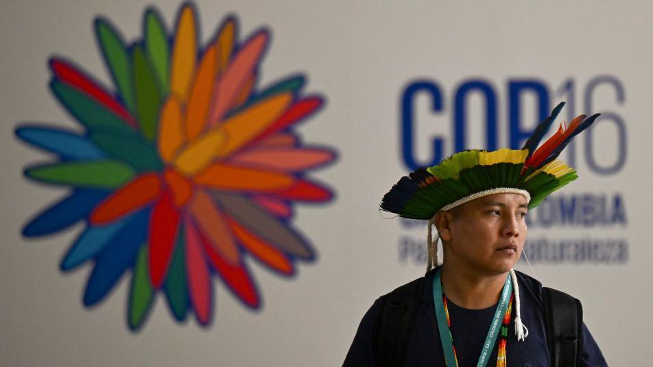 A delegate at the UN biodiversity summit, COP 16