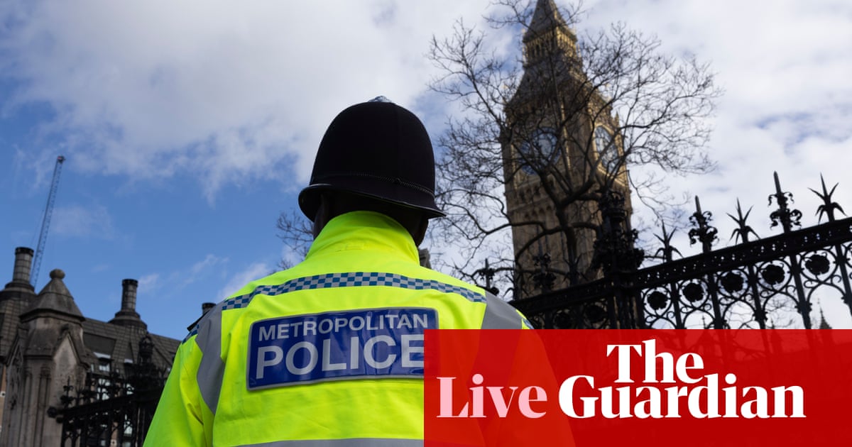 Police in London face ‘eye-watering cuts’, Met chief Mark Rowley says - UK politics live | Politics