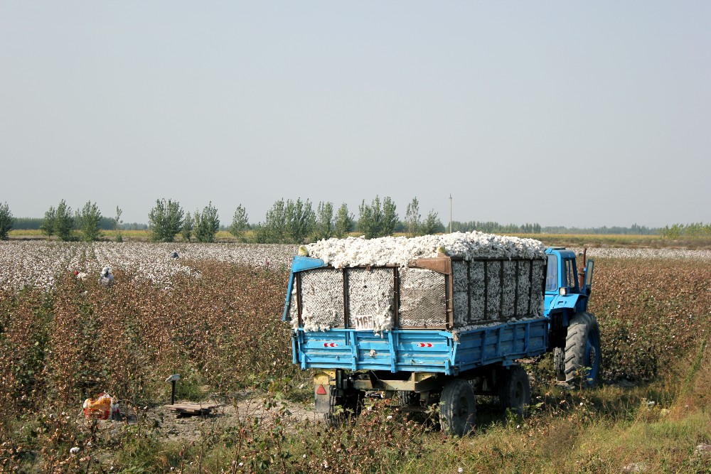 Better Cotton Signs Roadmap for Sustainability in Uzbekistan