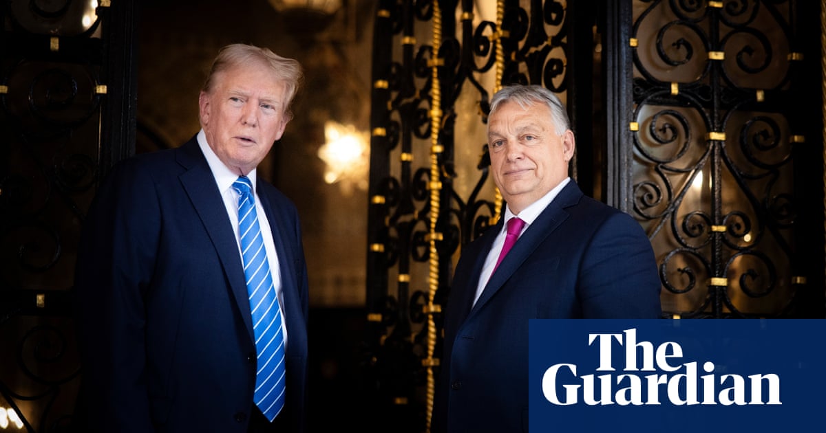 Second Trump reign could make life ‘a lot harder’ for EU’s far-right leaders | US politics