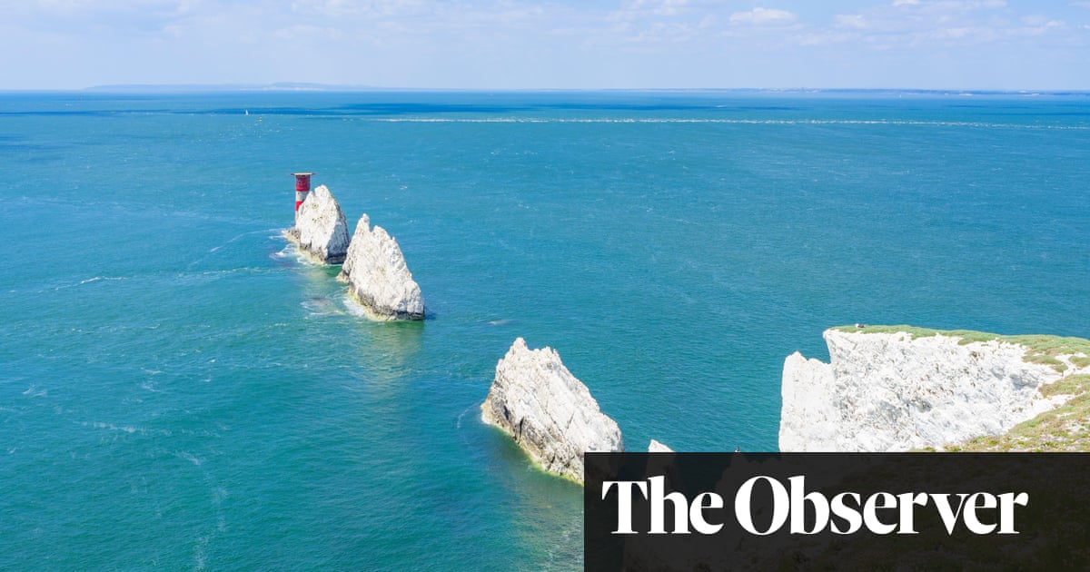 ‘Catastrophic’ marine heatwaves are killing sealife and causing mass disruption to UK fisheries | Marine life