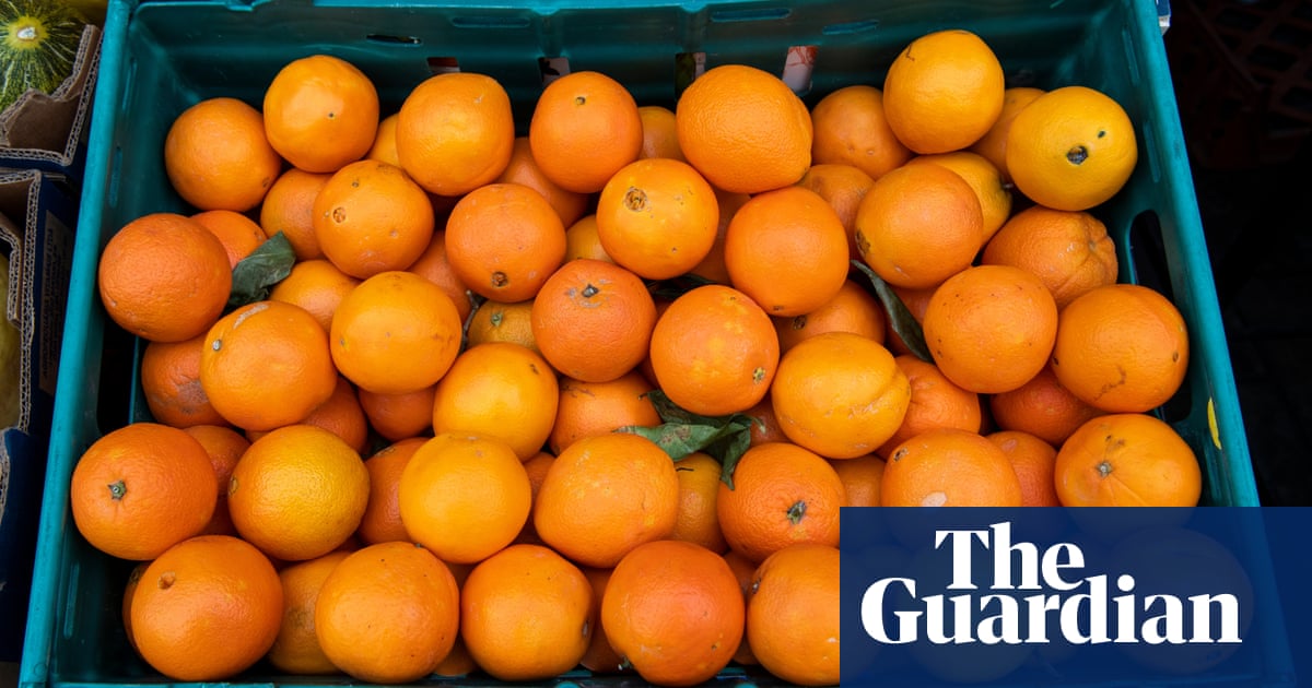 Spain’s floods force some UK sellers to buy oranges from southern hemisphere | Food & drink industry