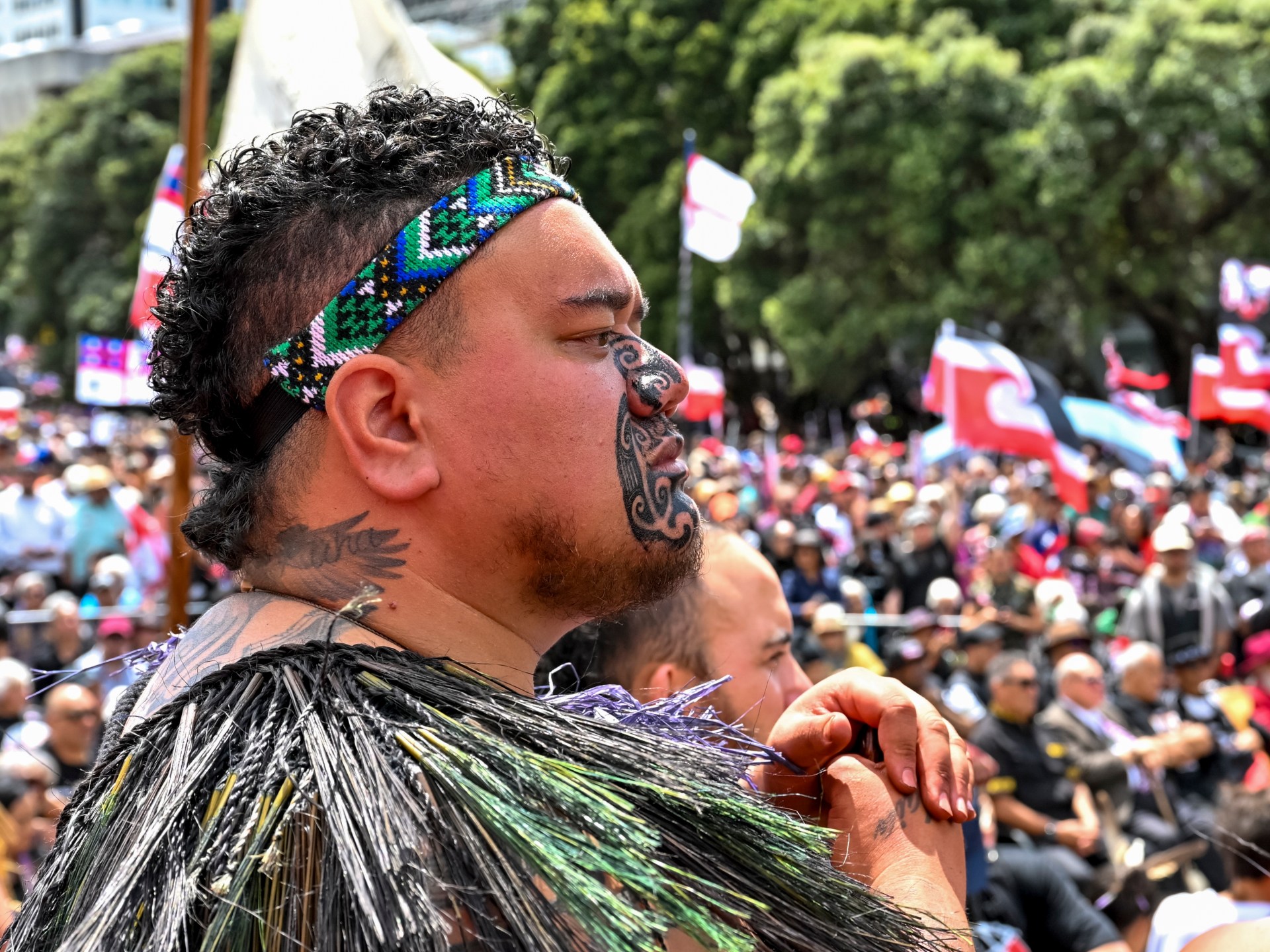 Tens of thousands march in New Zealand Maori rights protest | Protests News